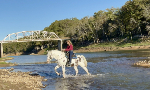 HorseID: 2307938 Dream Catcher - PhotoID: 1092172