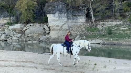 HorseID: 2307938 Dream Catcher - PhotoID: 1092173