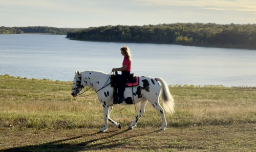 HorseID: 2307938 Dream Catcher - PhotoID: 1092176