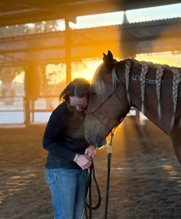 HorseID: 2307940 Jupiter - The Golden Boy - PhotoID: 1092027