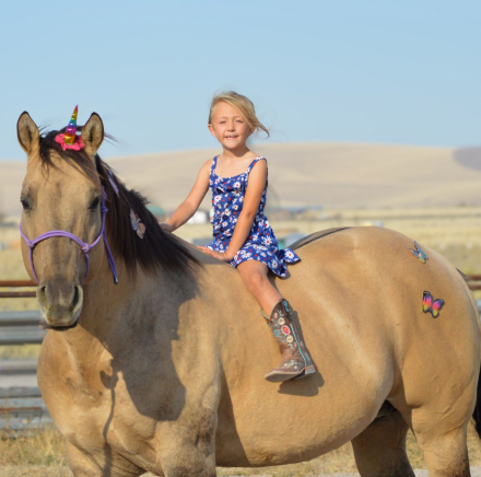 HorseID: 2307945 SIXCESSFULLY DUN IT - PhotoID: 1091975