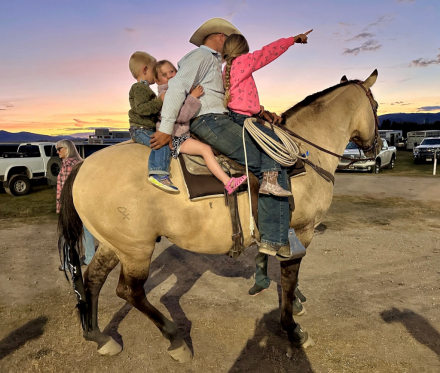 HorseID: 2307945 SIXCESSFULLY DUN IT - PhotoID: 1091977