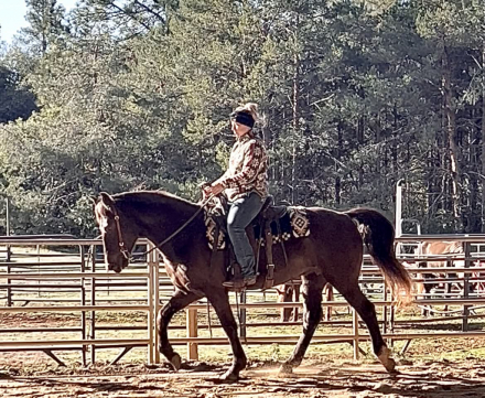 HorseID: 2307949 Shesa Urban Legend - PhotoID: 1092097