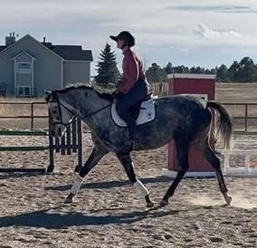 HorseID: 2307959 Elevated Blue Sky - PhotoID: 1091986