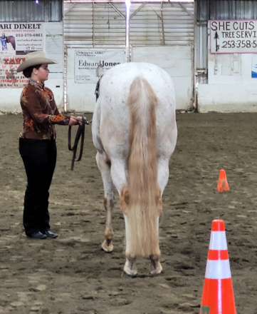 HorseID: 2307960 Big Time Last Hooray (Brady) - PhotoID: 1091988