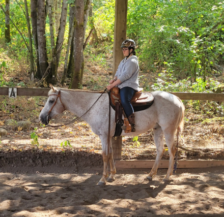 HorseID: 2307960 Big Time Last Hooray (Brady) - PhotoID: 1091989