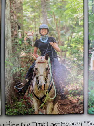 HorseID: 2307960 Big Time Last Hooray (Brady) - PhotoID: 1091991