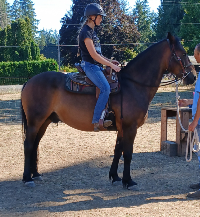 HorseID: 2307962 Titan - PhotoID: 1091993