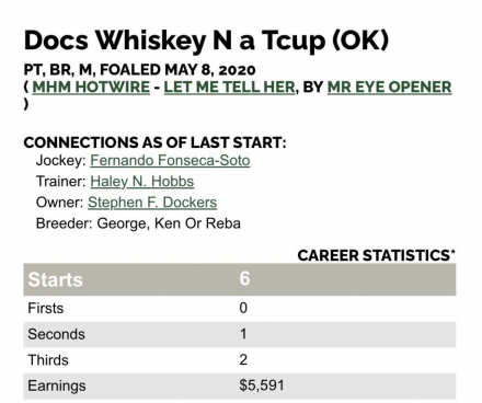 HorseID: 2307970 Docs Whiskey N A Tcup - PhotoID: 1092078