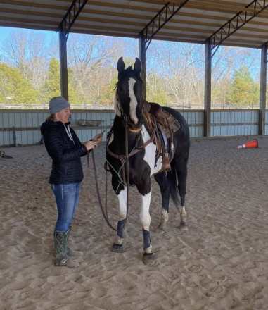 HorseID: 2307970 Docs Whiskey N A Tcup - PhotoID: 1092079