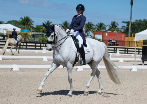 HorseID: 2307977 Ike - PhotoID: 1092080