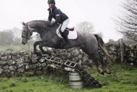 HorseID: 2307981 Killian - PhotoID: 1092024