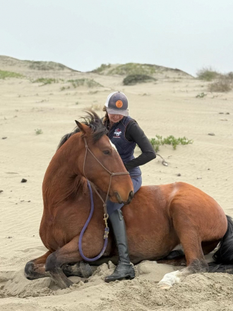 HorseID: 2307986 ✨BOWIE — A Truly Special Mustang ✨ - PhotoID: 1092036