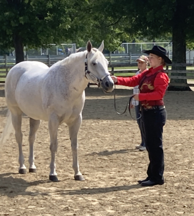 HorseID: 2307989 Suddenly Famous Lady - PhotoID: 1092039