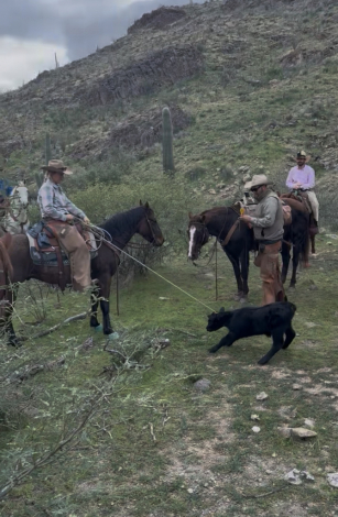 HorseID: 2308004 Milo • JHEART TEXAS QUIK - PhotoID: 1092099