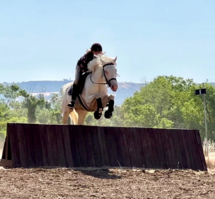 HorseID: 2308019 Gracie (Luci) - PhotoID: 1092071