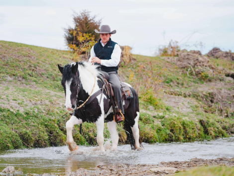 HorseID: 2308023 Bentley - PhotoID: 1092084