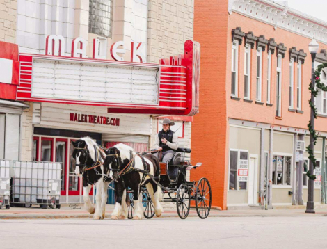 HorseID: 2308024 Beckett - PhotoID: 1092086