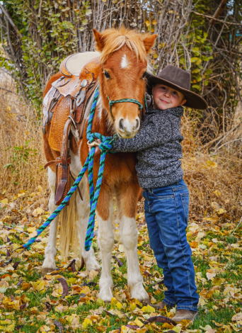 HorseID: 2308030 Yoshie - PhotoID: 1092089