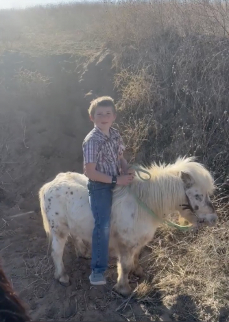 HorseID: 2308042 Goose - PhotoID: 1092433