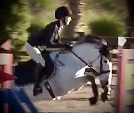 HorseID: 2308053 Dallas Cowboy - PhotoID: 1092114