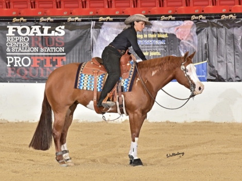 HorseID: 2308060 Tricked Out Pistol - PhotoID: 1092127