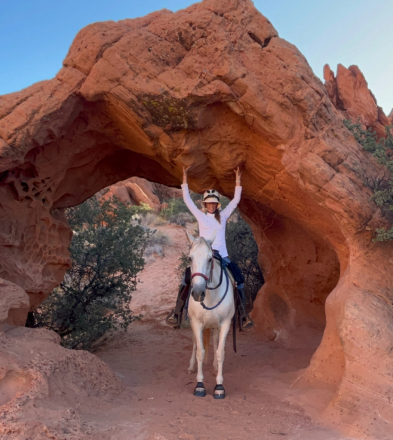 HorseID: 2308078 Balla - PhotoID: 1092180