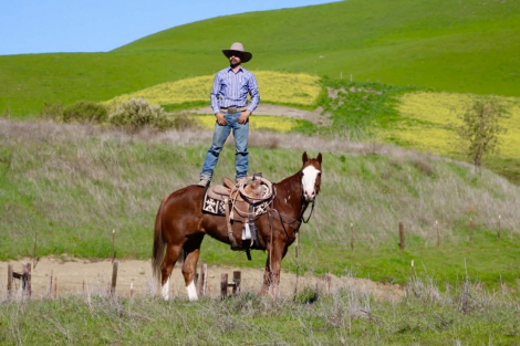 HorseID: 2308121 All Star Addiction LHR - PhotoID: 1092209