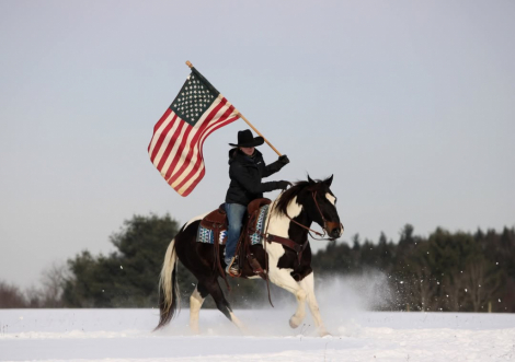 HorseID: 2308125 Hollywood KS - PhotoID: 1092224