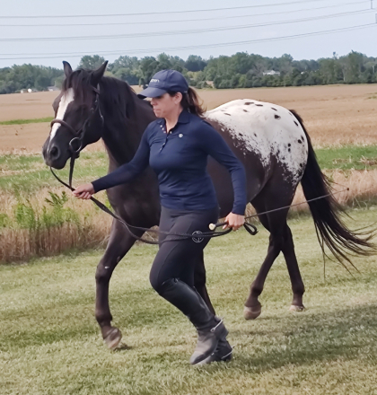 HorseID: 2308137 New York Minute - PhotoID: 1092228