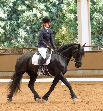 HorseID: 2308141 Frans - PhotoID: 1092197