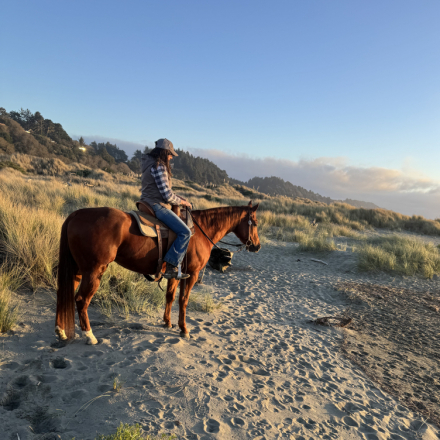 HorseID: 2308150 Bodie - PhotoID: 1092236