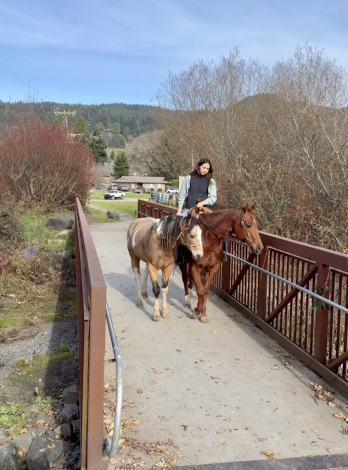 HorseID: 2308150 Bodie - PhotoID: 1092237