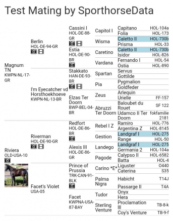 HorseID: 2308170 Memphis KC - PhotoID: 1092251