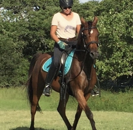 HorseID: 2308188 BELIEVE IN MAGIC BF - PhotoID: 1092266