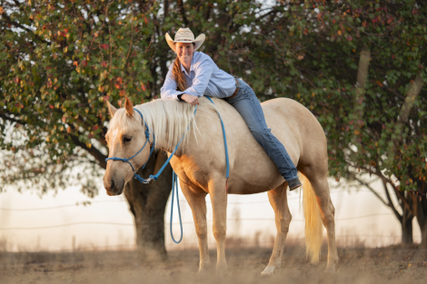 HorseID: 2308199 CATS GOLDEN MOXIE - PhotoID: 1092286