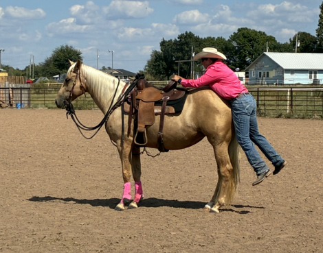 HorseID: 2308199 CATS GOLDEN MOXIE - PhotoID: 1092287