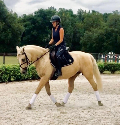 HorseID: 2308216 Rathcline Lily's Girl - PhotoID: 1092307