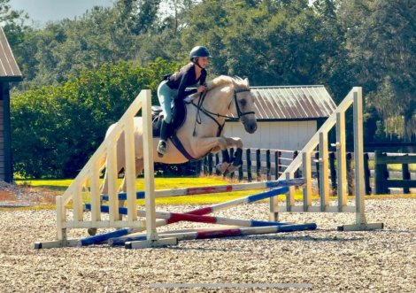 HorseID: 2308216 Rathcline Lily's Girl - PhotoID: 1092308