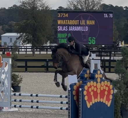 HorseID: 2308220 Whatabout Lil Man - PhotoID: 1092321