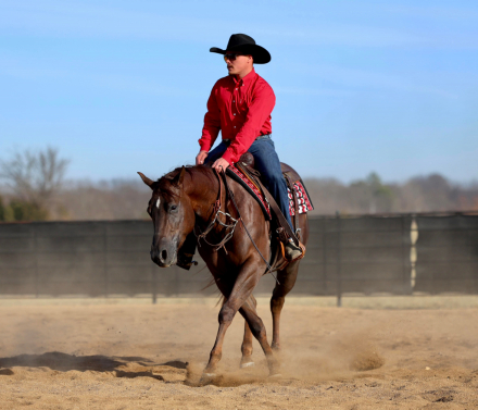 HorseID: 2308244 CHASING YOU - PhotoID: 1092352