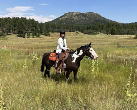 HorseID: 2308248 Medicine Man - PhotoID: 1092358