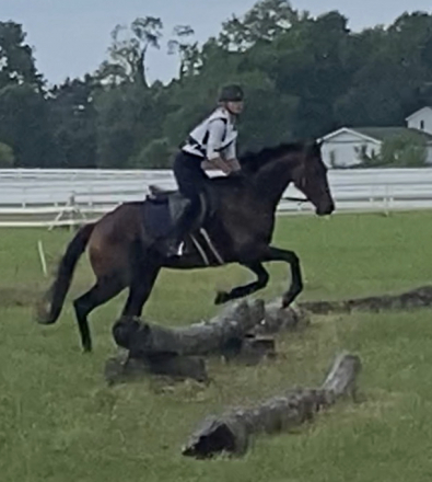 HorseID: 2308254 Southern Sea - PhotoID: 1092421