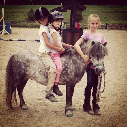 HorseID: 2308260 Ray - PhotoID: 1092370