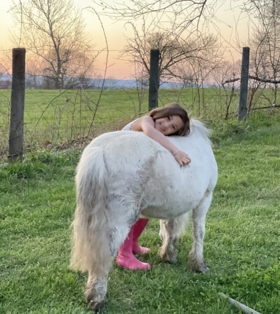 HorseID: 2308260 Ray - PhotoID: 1092371