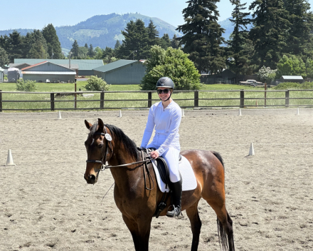 HorseID: 2308309 Tiger in Your Tank (Pocket) - PhotoID: 1092441