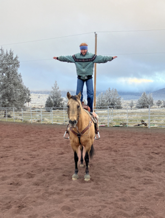 HorseID: 2308320 MBJ Dancing Angel - PhotoID: 1092452