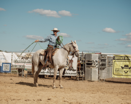 HorseID: 2308324 Circle Bar Doc Oak - PhotoID: 1092455