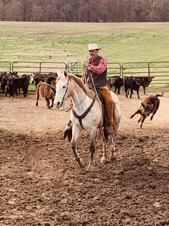 HorseID: 2308324 Circle Bar Doc Oak - PhotoID: 1092456