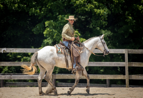 HorseID: 2308324 Circle Bar Doc Oak - PhotoID: 1092457